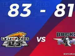 欧篮联赛程比分排名